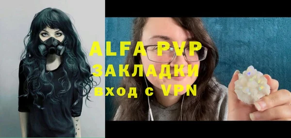 индика Балахна