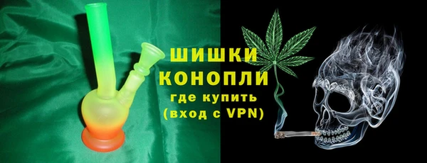 индика Балахна