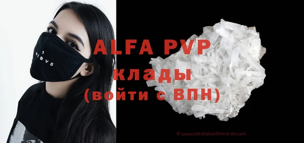 индика Балахна