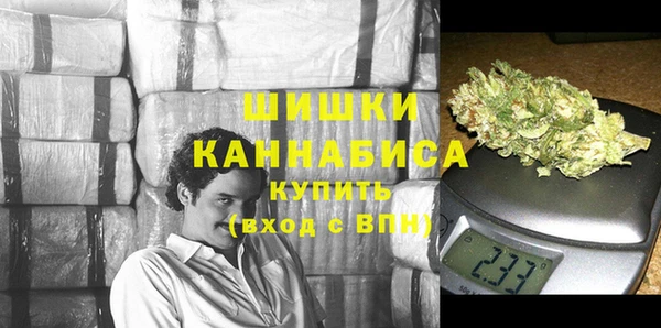 индика Балахна