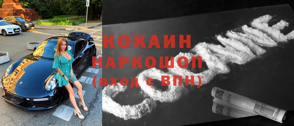 индика Балахна