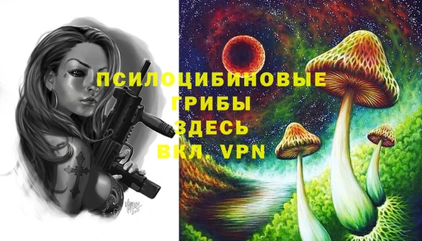 дмт Баксан