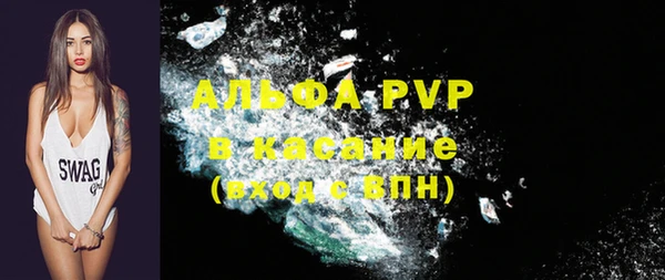 индика Балахна