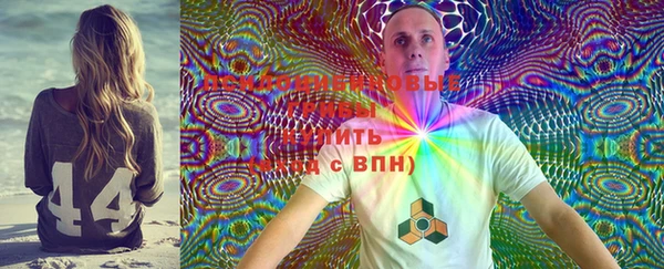 индика Балахна