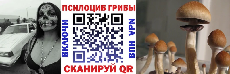 Псилоцибиновые грибы прущие грибы  Первомайск 